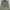 Timberland Streetwear Y2K Jumper Pria tan photo 1