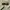 Timberland Streetwear Y2K Jumper Pria tan photo 2