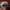 Adidas Sportswear Hat Pria white photo 3