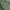 Von Dutch Biker Casual T-shirt Pria green white photo 1