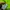 Carhartt Streetwear Y2K T-shirt Pria green photo 4