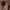 Casual Hat Pria brown photo 4