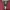 Casual Outerwear Kids burgundy black photo 3