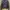 Vivastudio Biker Leather jacket Pria black photo 3