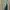 Love Bonito Casual Midi dress Wanita green black photo 5