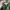 Love Bonito Casual Midi dress Wanita green black photo 2