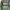 Love Bonito Casual Midi dress Wanita green black photo 3