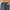 Champion Streetwear Sportswear Sweatpants & Joggers Pria navy photo 4