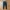 Champion Streetwear Sportswear Sweatpants & Joggers Pria navy photo 2
