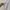 Japanese brand Luxury Minimalist Blouse Wanita white photo 3