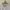 Japanese brand Luxury Minimalist Blouse Wanita white photo 2