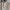 Burberry Casual Polo shirt Pria cream photo 2