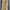 Coquette Casual Wanita cream tan photo 1