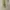 Japanese brand Luxury Minimalist Cardigan Wanita white yellow photo 3