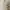 Japanese brand Luxury Minimalist Cardigan Wanita white yellow photo 1