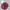 Sportswear Hat Wanita burgundy photo 5