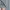 Uniqlo Sportswear Legging Wanita gray photo 8