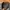 Airwalk Streetwear Gorpcore Tracksuit Pria black photo 7