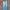 Levi's Streetwear Jeans Pria Blue