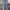 Vintage Casual Jeans Pria navy photo 2