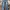 Vintage Casual Jeans Pria Navy