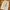 Japanese Brand Luxury Minimalist Skirt Wanita Multicolor White