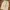 Japanese Brand Luxury Minimalist Skirt Wanita Multicolor White