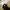 Nike Vintage Casual Track jacket Pria yellow black photo 4
