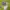 Columbia Sportswear Jersey Pria green photo 3