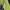 Columbia Sportswear Jersey Pria green photo 4