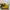 United Colors of Benetton Vintage Y2K Wallet Pria yellow photo 7