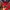 Nike Y2K Sportswear Jersey Pria black red photo 4