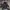 Gorpcore Puffer jacket Pria brown photo 1