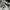 Stone Island Vintage Streetwear Parka Pria white gray photo 8