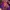 Japanese brand Vintage Y2K Harrington jacket Pria purple photo 3