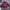 Japanese brand Vintage Y2K Harrington jacket Pria purple photo 2