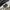 Lacoste Y2K Casual Polo shirt Pria white photo 6