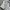 Lacoste Y2K Casual Polo shirt Pria white photo 5
