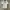 Lacoste Y2K Casual Polo shirt Pria white photo 1