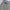 Akademiks Streetwear Y2K Jeans Pria blue photo 8