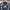 Adidas Vintage Sportswear Sweater Pria black photo 2