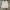 Calvin Klein Luxury Casual Shirt Wanita white photo 1