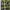 Vans Casual Casual shirt Pria multicolor green photo 1