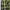 Vans Casual Casual Shirt Pria Multicolor Green