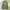 Streetwear Y2K Jeans Pria green photo 1