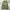 Streetwear Y2K Jeans Pria Green