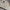 Birkenstock Casual Sandals & slide Pria cream photo 5