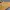 Birkenstock Casual Sandals & slide Pria brown photo 5