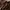 Covernat Minimalist Hoody Pria brown photo 3