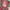 Casual Pyjama Kids green pink photo 3